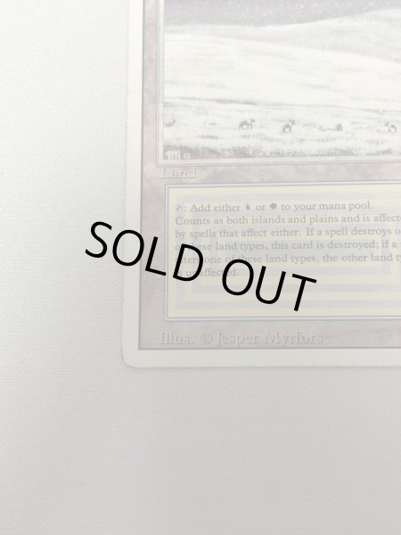 画像4: 《Tundra》[3ED] HP (4)