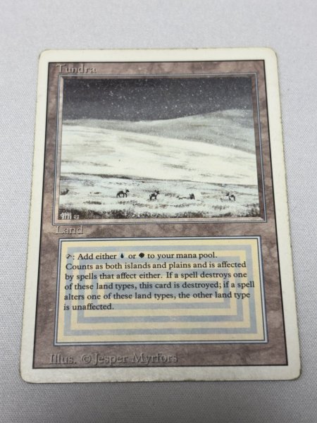 画像1: 《Tundra》[3ED] MP (1)