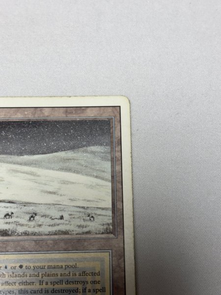 画像3: 《Tundra》[3ED] MP (3)