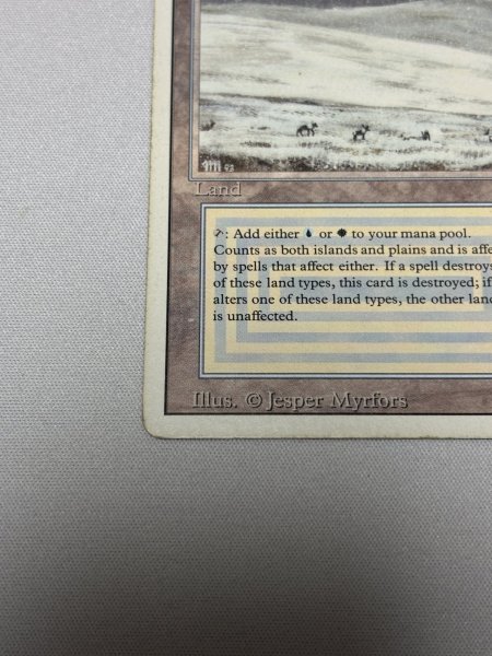 画像4: 《Tundra》[3ED] MP (4)