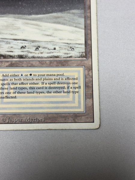 画像5: 《Tundra》[3ED] MP (5)