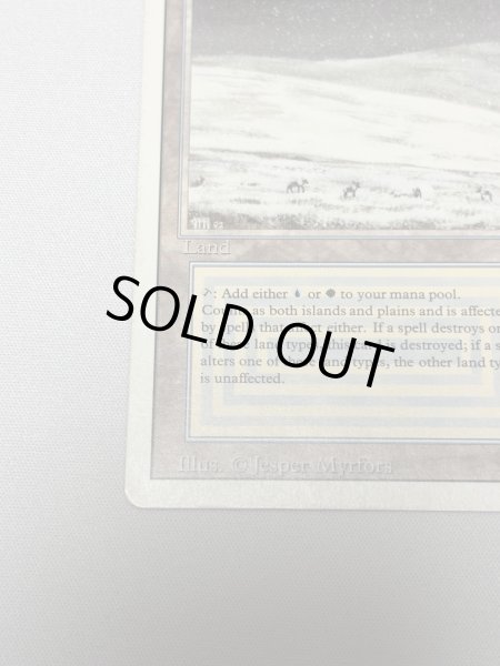 画像4: 《Tundra》[3ED] MP (4)