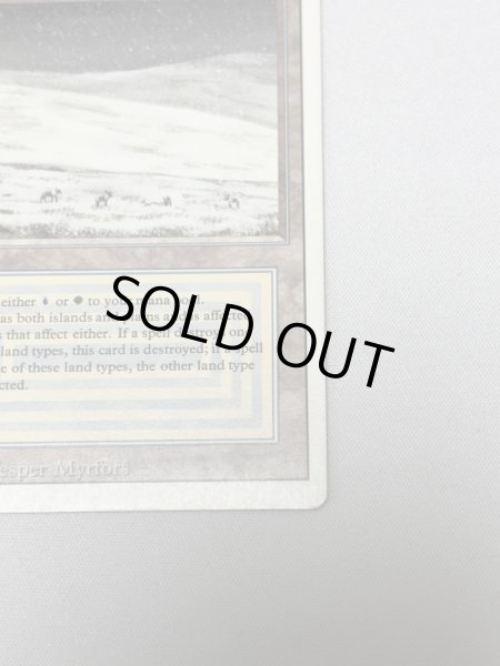 画像5: 《Tundra》[3ED] MP (5)