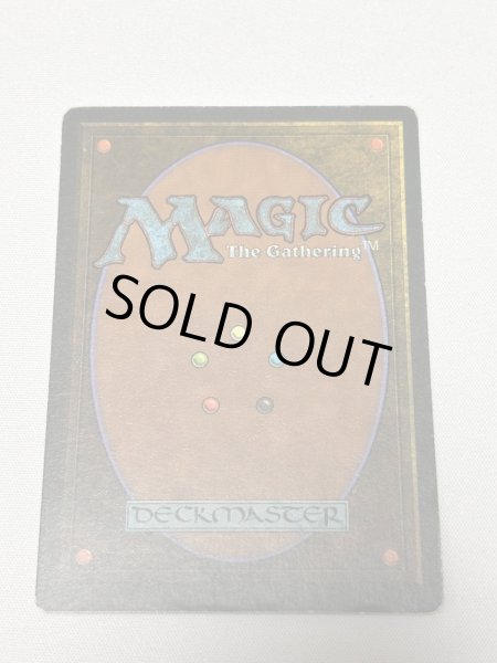 画像6: 《Tundra》[3ED] MP (6)