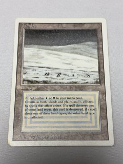Tundra - MTG専門店 Initiative