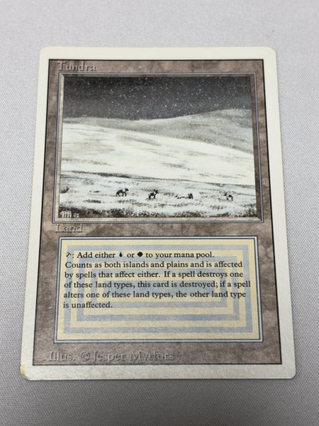 画像1: 《Tundra》[3ED] MP (1)