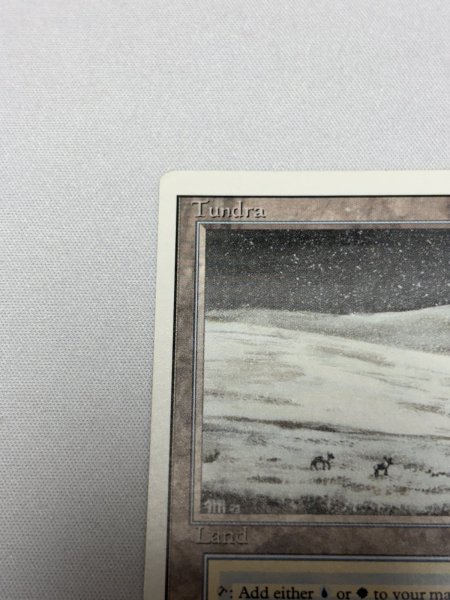 画像2: 《Tundra》[3ED] MP (2)