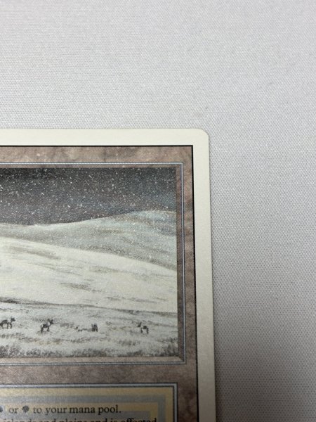 画像3: 《Tundra》[3ED] MP (3)