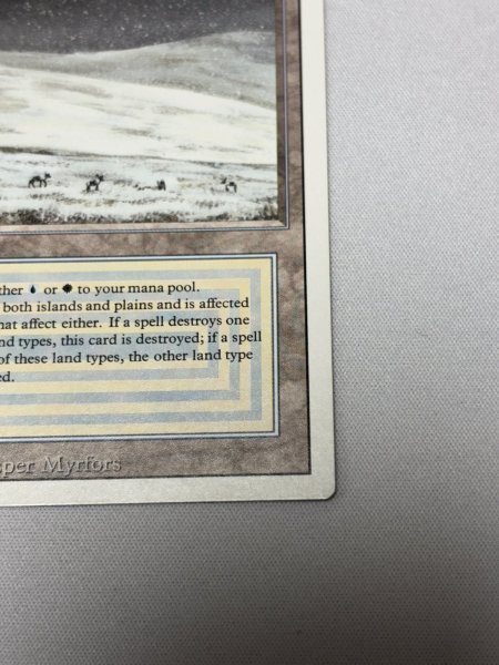 画像5: 《Tundra》[3ED] MP (5)