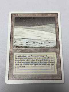 デュアルランド/Dual Land - MTG専門店 Initiative