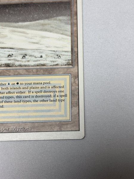 画像5: 《Tundra》[3ED] SP- (5)