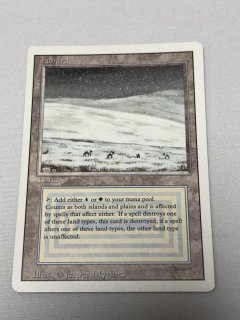 デュアルランド/Dual Land - MTG専門店 Initiative