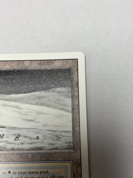 画像3: 《Tundra》[3ED] SP (3)