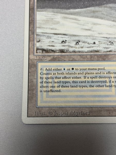 画像4: 《Tundra》[3ED] SP (4)