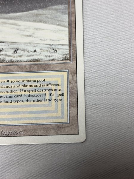 画像5: 《Tundra》[3ED] SP (5)