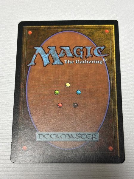 画像6: 《Tundra》[3ED] SP (6)