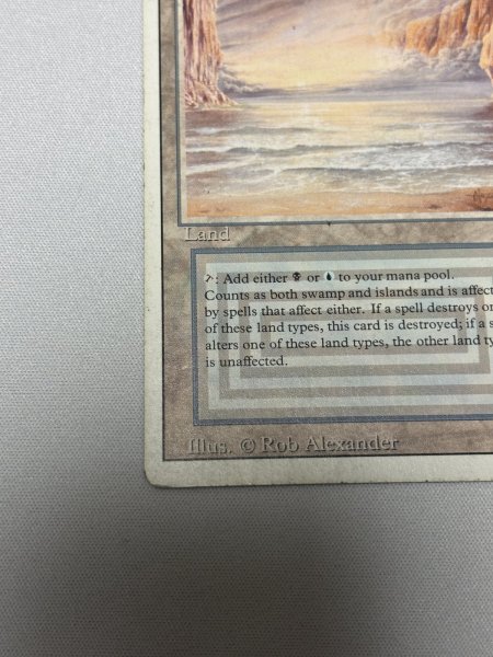 画像4: 《Underground Sea》[3ED] HP (4)