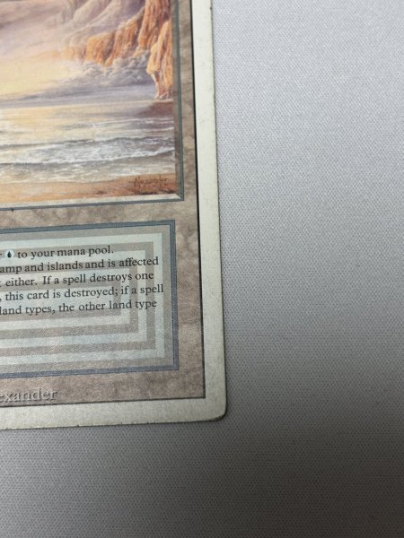 画像5: 《Underground Sea》[3ED] HP (5)