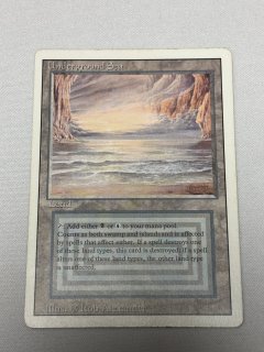 デュアルランド/Dual Land - MTG専門店 Initiative