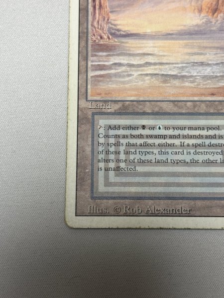 画像4: 《Underground Sea》[3ED] MP (4)