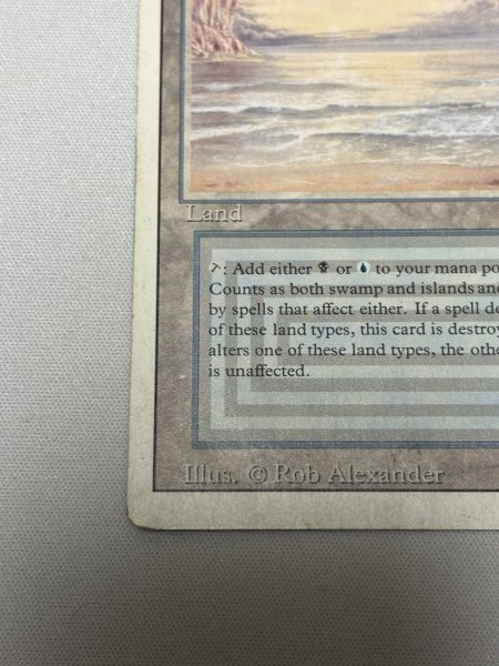 画像4: 《Underground Sea》[3ED] MP (4)