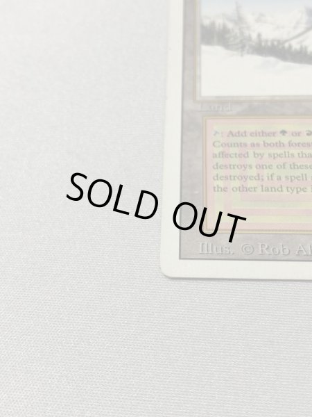 画像5: 《Taiga》[3ED] SP (5)