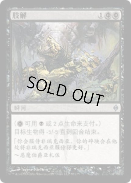 画像1: 中国語（簡体字）《四肢切断/Dismember》[NPH] (1)