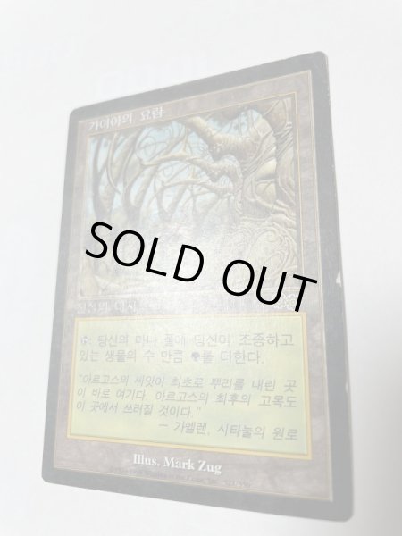 画像2: 韓国語《ガイアの揺籃の地/Gaea's Cradle》[USG] MP (2)