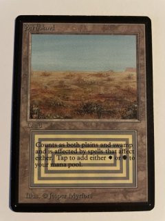 デュアルランド/Dual Land - MTG専門店 Initiative