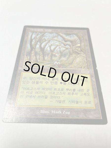 画像1: 韓国語《ガイアの揺籃の地/Gaea's Cradle》[USG] MP (1)