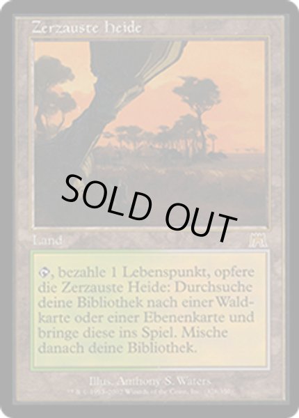 画像1: ドイツ語《吹きさらしの荒野/Windswept Heath》[ONS] (1)