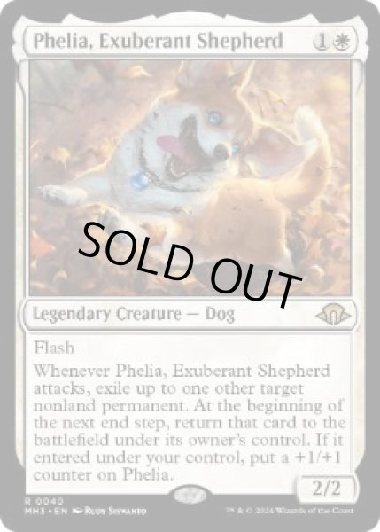 画像1: 《溌剌の牧羊犬、フィリア/Phelia, Exuberant Shepherd》[MH3] (1)