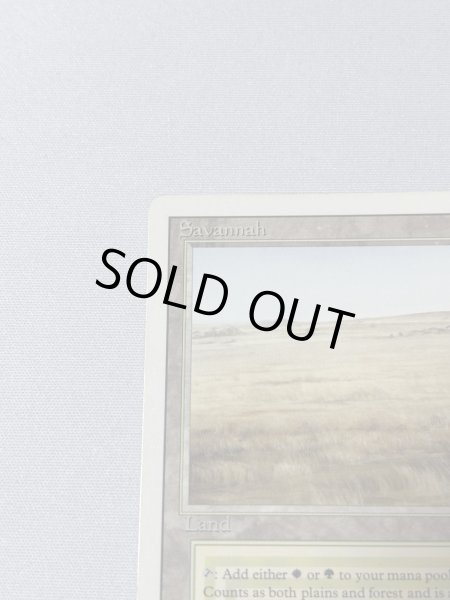 画像2: 《Savannah》[3ED] MP (2)