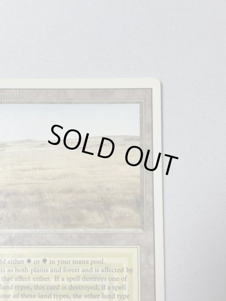 画像3: 《Savannah》[3ED] MP (3)