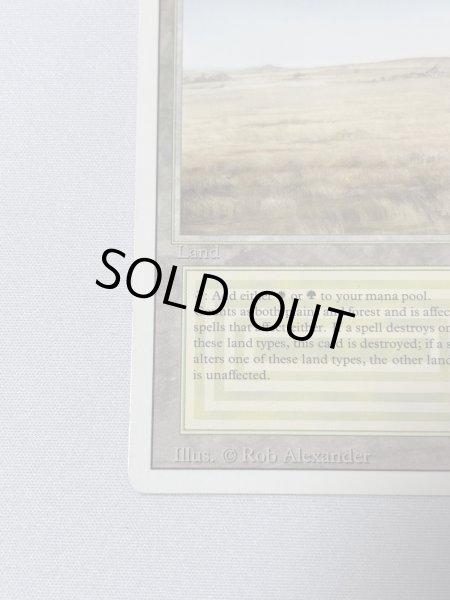 画像4: 《Savannah》[3ED] MP (4)