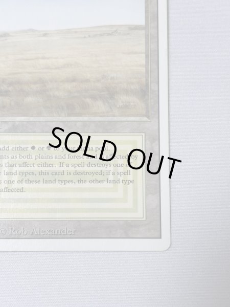 画像5: 《Savannah》[3ED] MP (5)