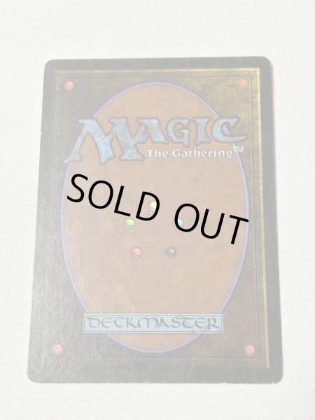 画像6: 《Savannah》[3ED] MP (6)