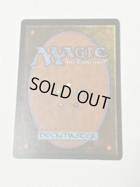 画像6: 《Scrubland》[3ED] SP (6)