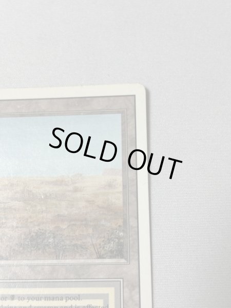 画像3: 《Scrubland》[3ED] MP (3)