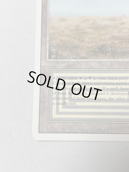 画像4: 《Scrubland》[3ED] MP (4)