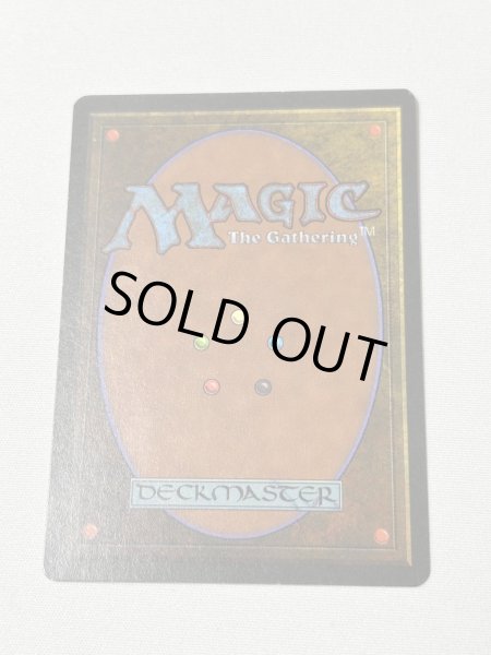 画像6: 《Scrubland》[3ED] MP (6)