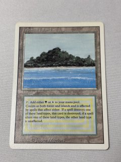 Tropical Island - MTG専門店 Initiative