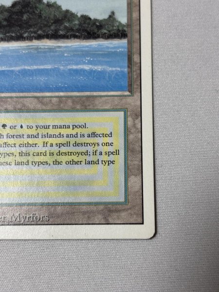 画像5: 《Tropical Island》[3ED] SP (5)