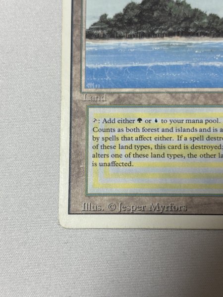 画像4: 《Tropical Island》[3ED] MP (4)