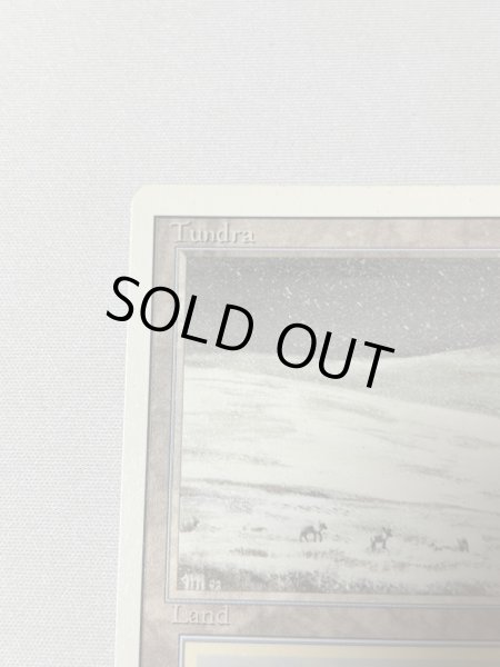 画像2: 《Tundra》[3ED] SP (2)
