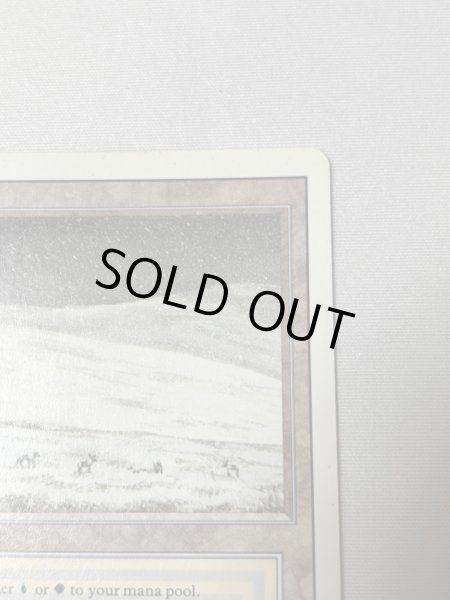 画像3: 《Tundra》[3ED] SP (3)