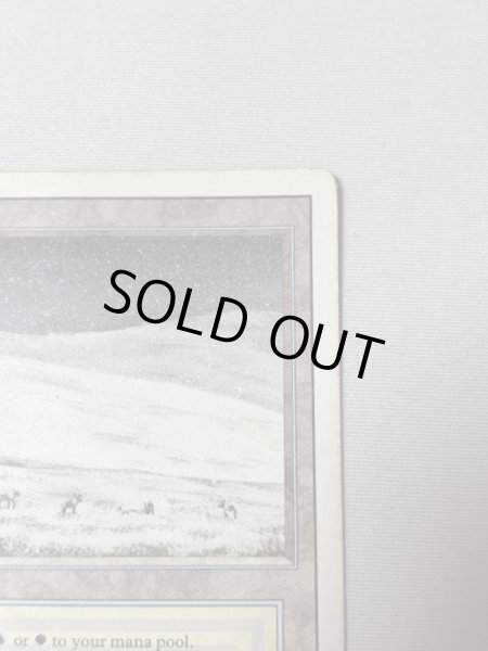 画像3: 《Tundra》[3ED] HP (3)