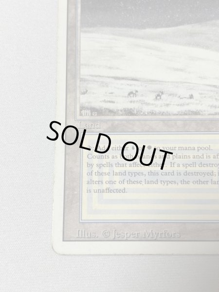 画像4: 《Tundra》[3ED] HP (4)