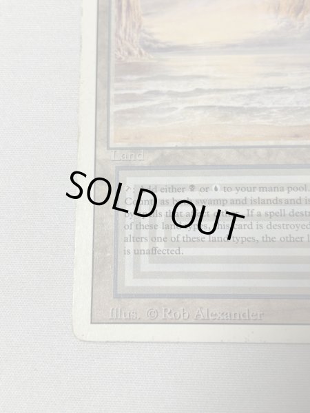 画像4: 《Underground Sea》[3ED] HP (4)