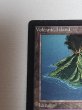 画像3: 《Volcanic Island》[LEB] MP (3)